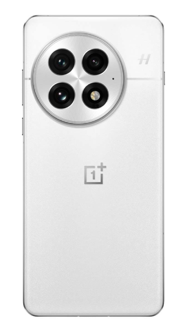 OnePlus 13 12/256Гб, Белый